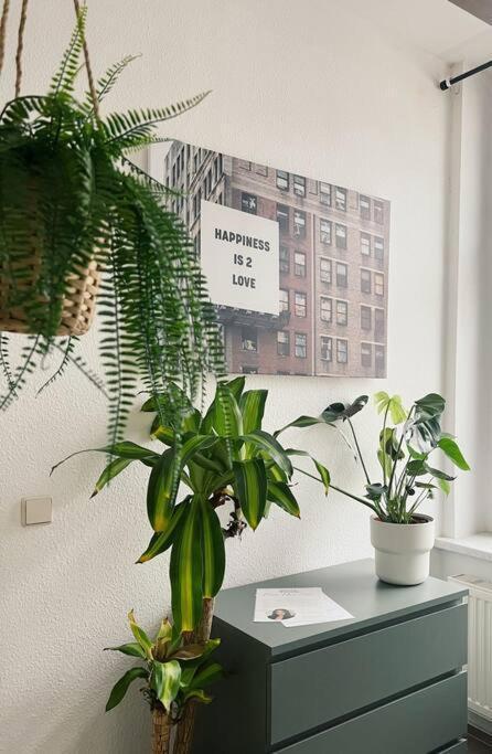 Pretty Home City Jungle Zwickau Esterno foto